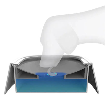 AquaPup™ Anti-Splash Bowl